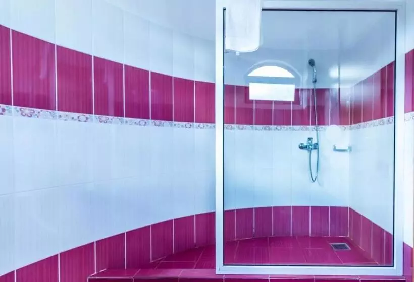 Hotelli Castelul De Vis