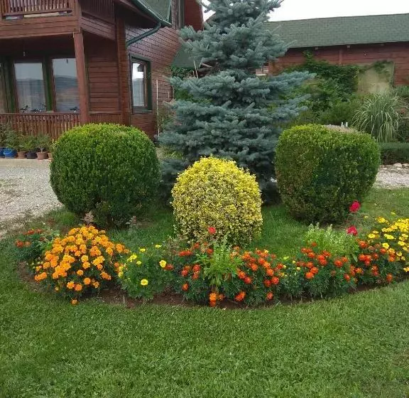 ペンション Casa De Vacanta Roua Diminetii