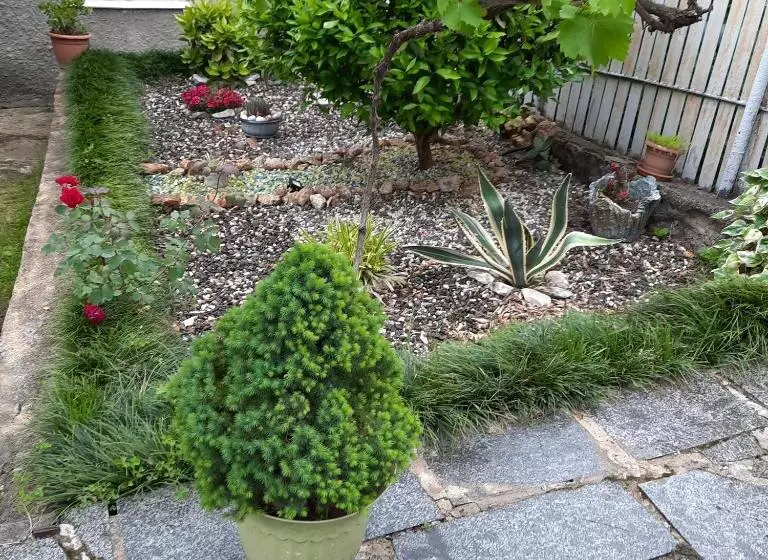 پانسیون Sisi Guest House