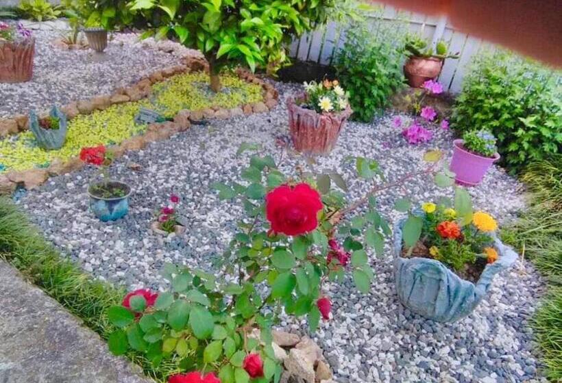 پانسیون Sisi Guest House