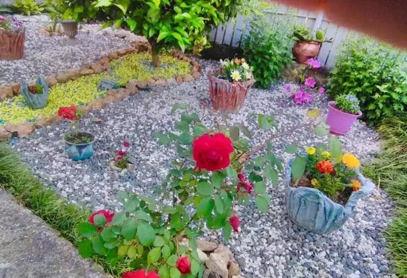 پانسیون Sisi Guest House