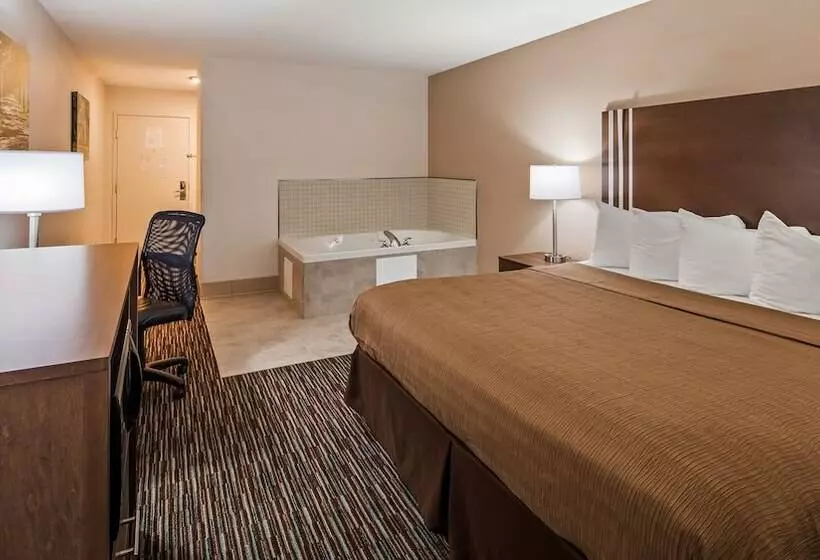 酒店 Best Western Brookfield