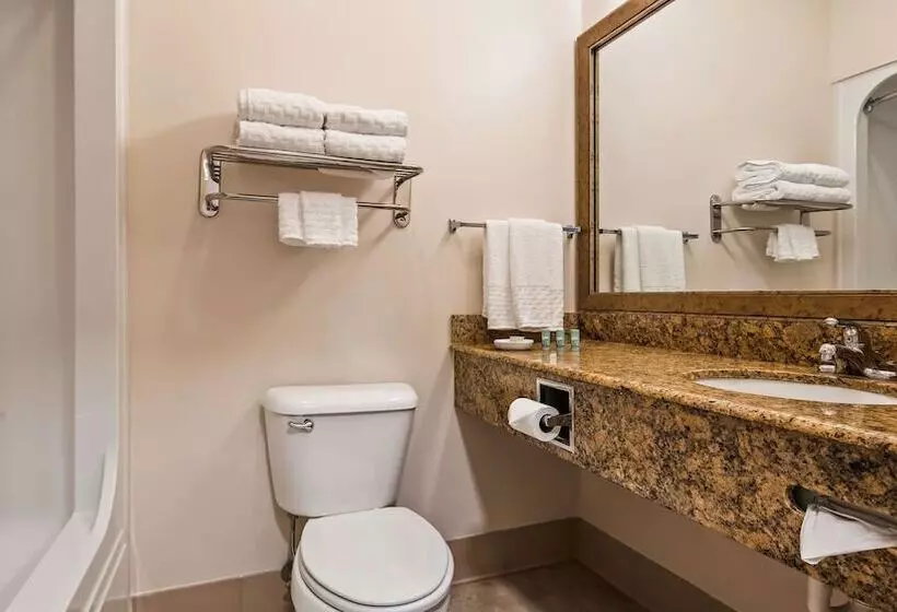 酒店 Best Western Brookfield