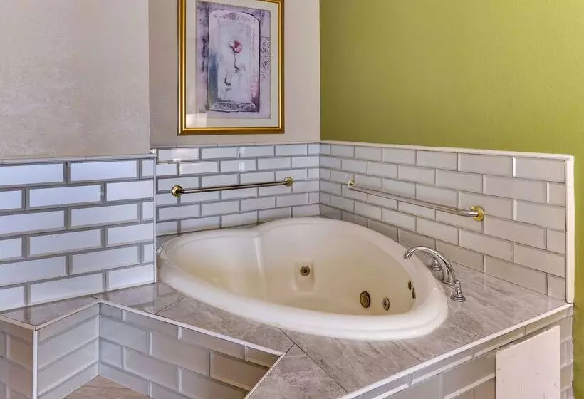 酒店 Comfort Inn & Suites