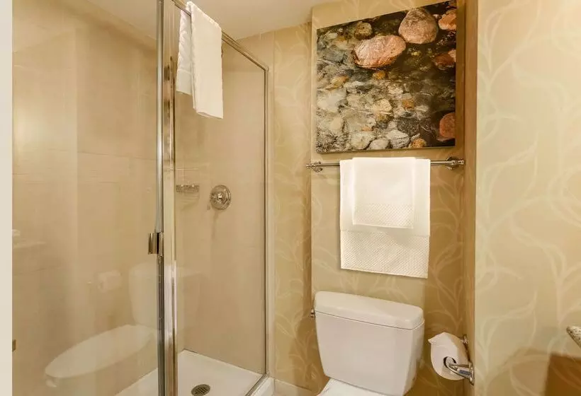 Hotelli Hilton Branson Convention Center