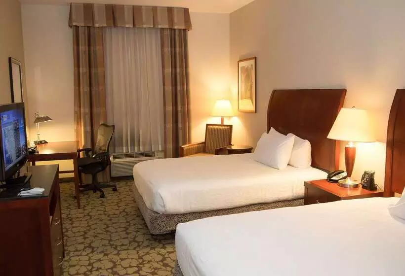 Отель Hilton Garden Inn Colorado Springs Airport
