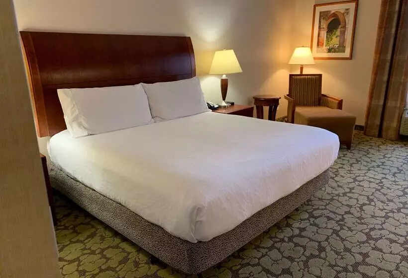 Отель Hilton Garden Inn Colorado Springs Airport