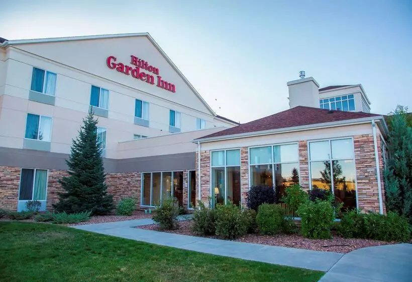 Отель Hilton Garden Inn Colorado Springs Airport