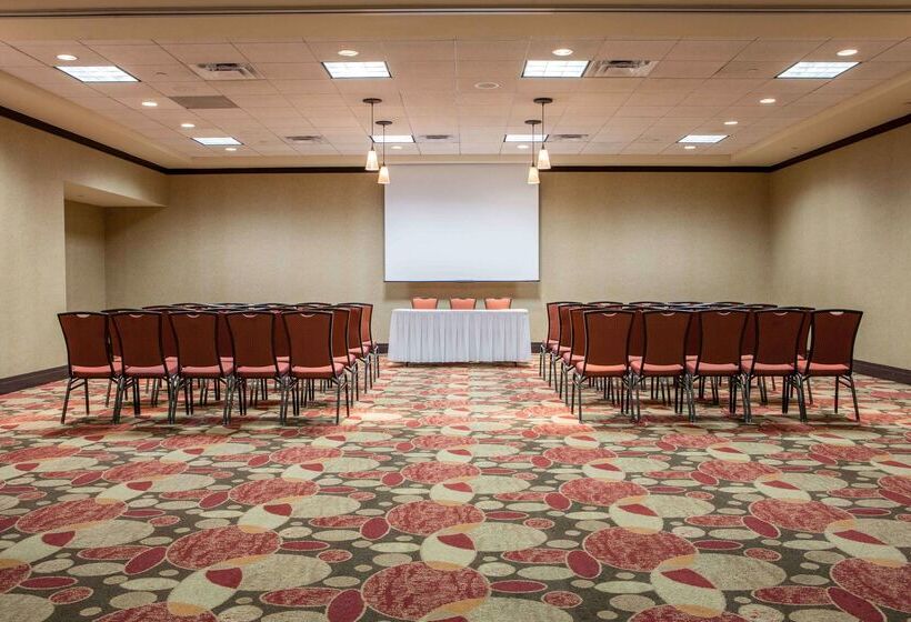 فندق Hilton Garden Inn El Paso / University