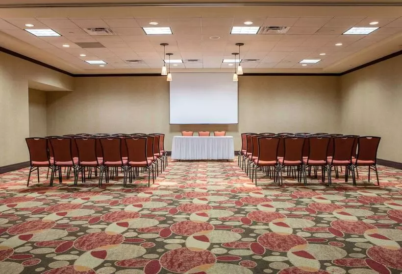 호텔 Hilton Garden Inn El Paso / University