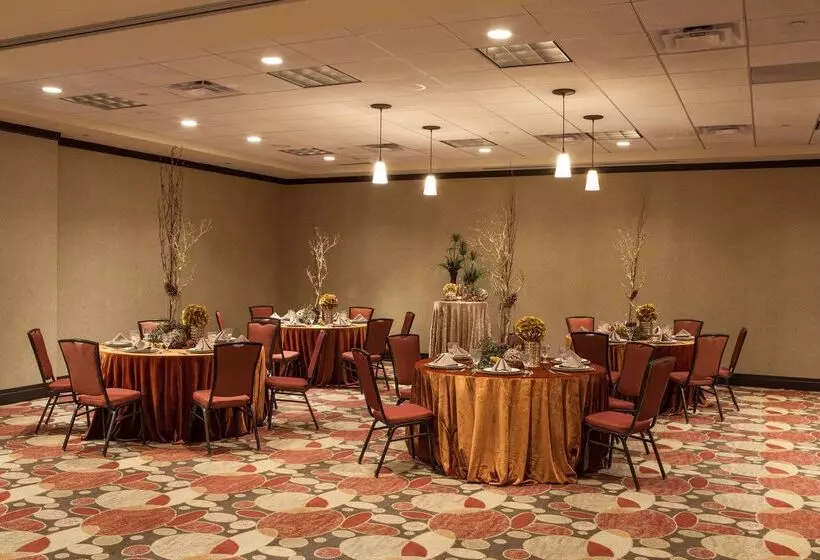 호텔 Hilton Garden Inn El Paso / University