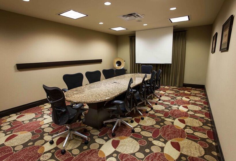 فندق Hilton Garden Inn El Paso / University