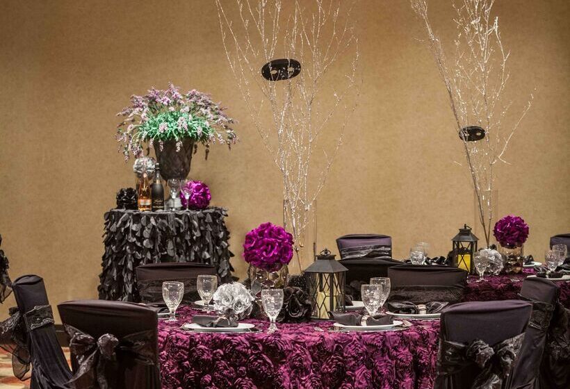 فندق Hilton Garden Inn El Paso / University