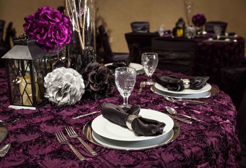 فندق Hilton Garden Inn El Paso / University