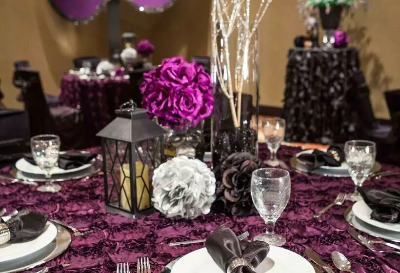 호텔 Hilton Garden Inn El Paso / University