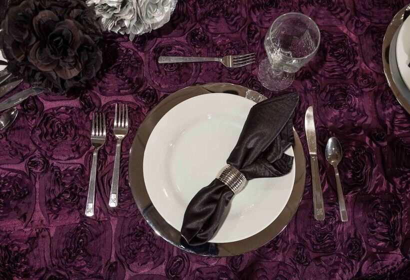 فندق Hilton Garden Inn El Paso / University