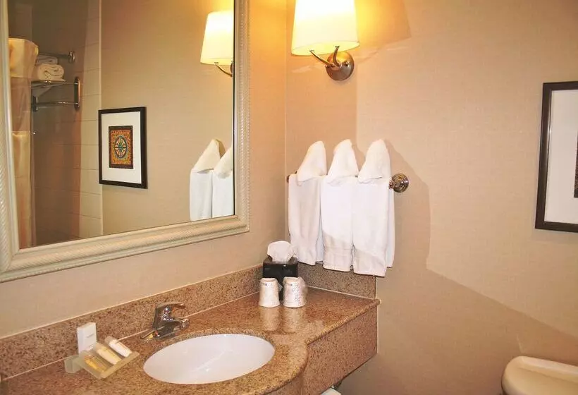 호텔 Hilton Garden Inn El Paso / University