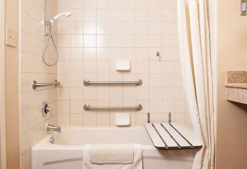 호텔 Hilton Garden Inn El Paso / University