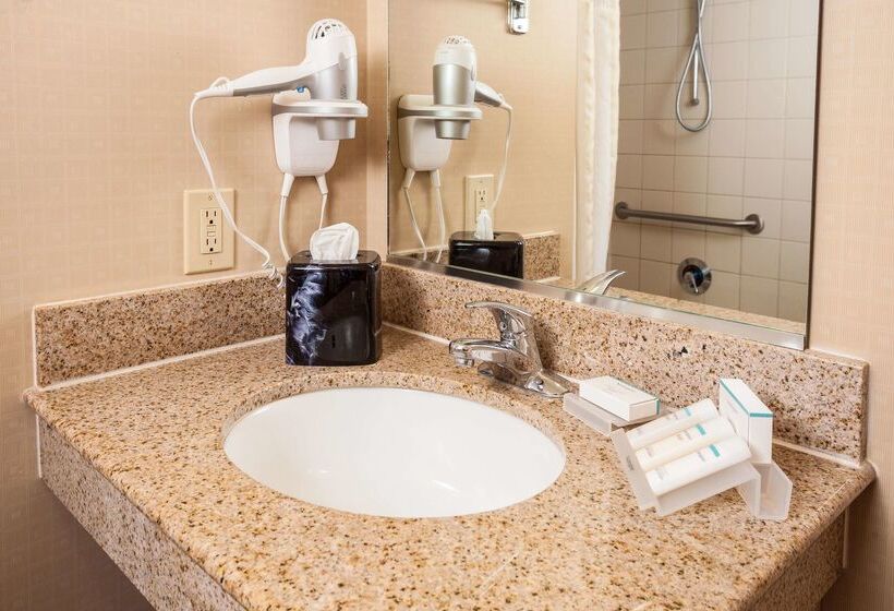 فندق Hilton Garden Inn El Paso / University