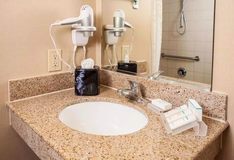 호텔 Hilton Garden Inn El Paso / University