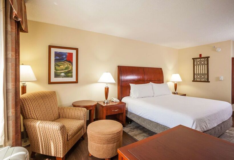 فندق Hilton Garden Inn El Paso / University