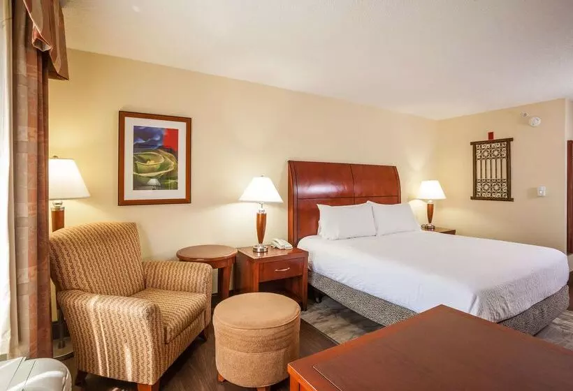 호텔 Hilton Garden Inn El Paso / University