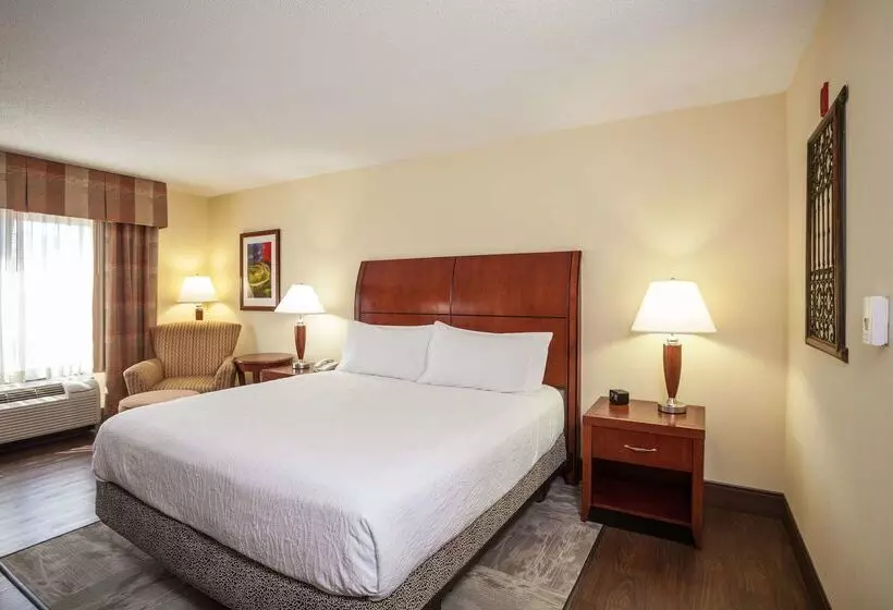 호텔 Hilton Garden Inn El Paso / University