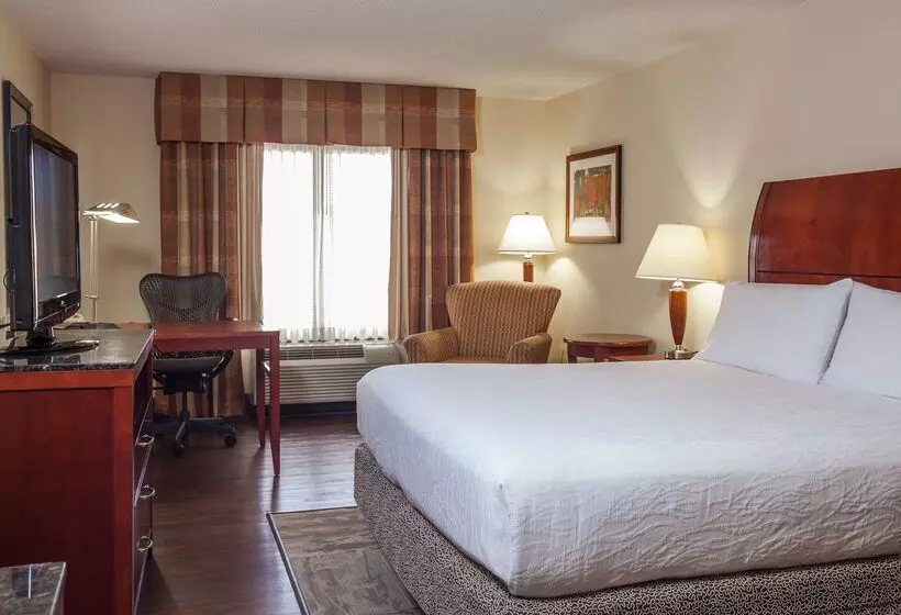 호텔 Hilton Garden Inn El Paso / University