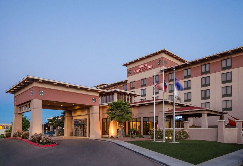فندق Hilton Garden Inn El Paso / University