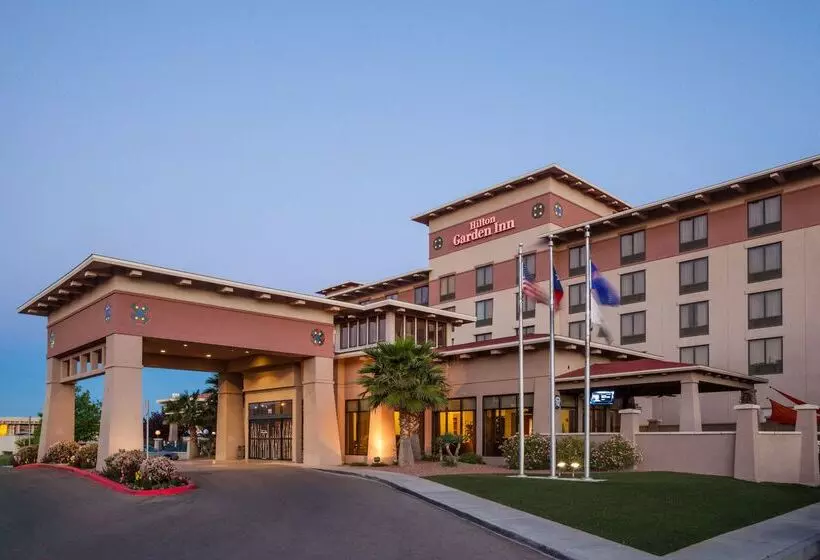 호텔 Hilton Garden Inn El Paso / University