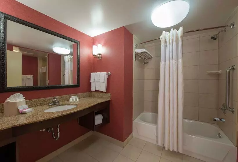 هتل Hilton Garden Inn Tupelo