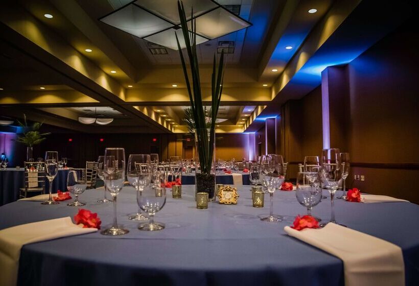 בית מלון כפרי Hilton St. Petersburg Carillon Park