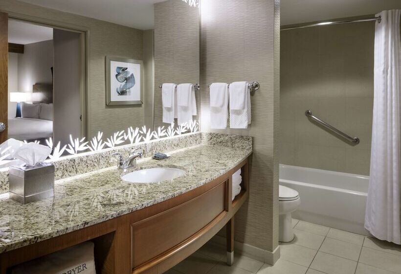 בית מלון כפרי Hilton St. Petersburg Carillon Park