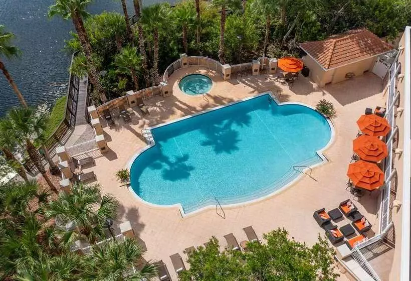 호텔 Hilton St. Petersburg Carillon Park