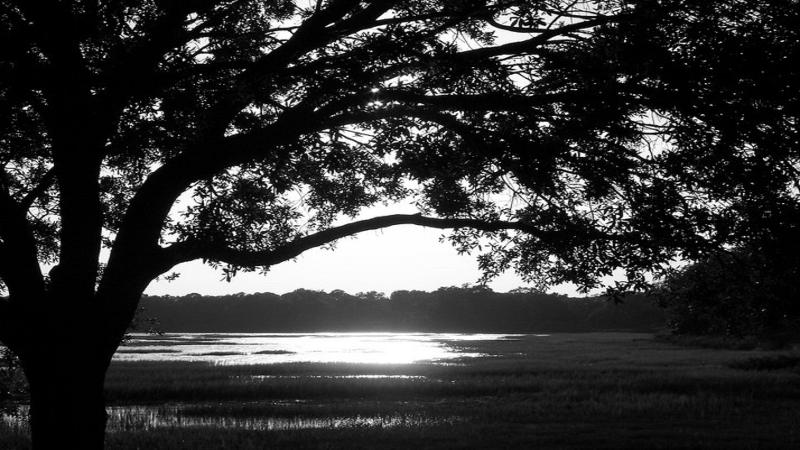 Holiday Inn Express Hotel & Suites Bluffton At Hilton Head Area, An Ihg