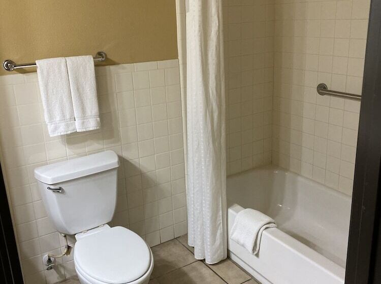 Holiday Inn Express Hotel And Suites Alice, An Ihg