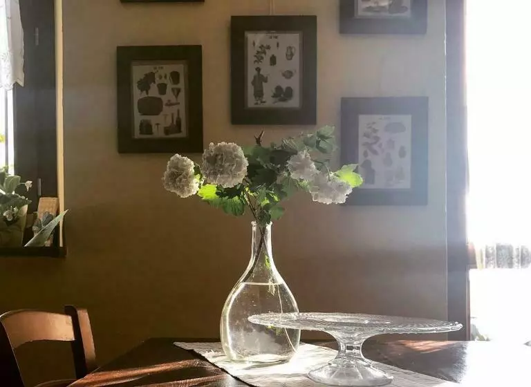 Aamiaismajoitus (B&B) Casa Branzele