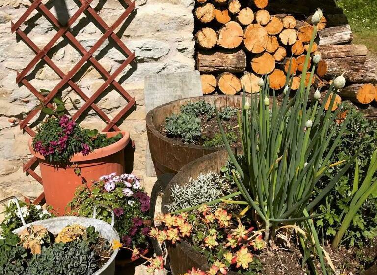 ベッドアンドブレックファースト Casa Branzele