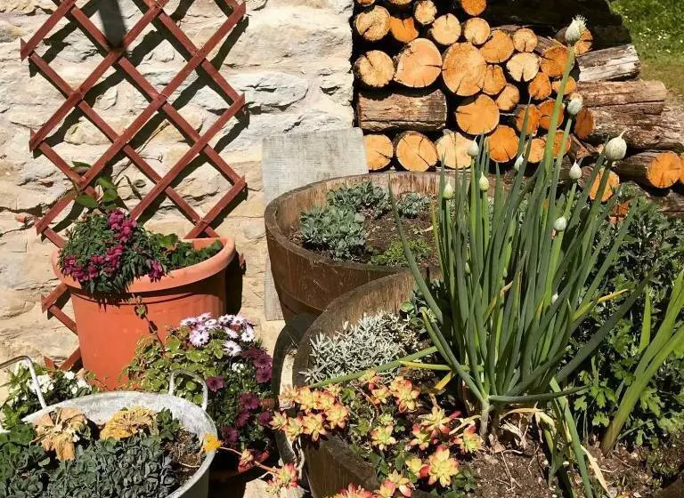 Aamiaismajoitus (B&B) Casa Branzele