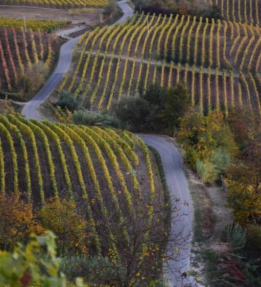 ベッドアンドブレックファースト Casa Branzele