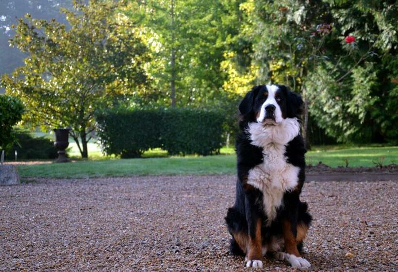 مبيت وإفطار Le Clos Saintemarie