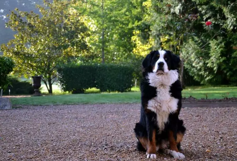 Aamiaismajoitus (B&B) Le Clos Saintemarie