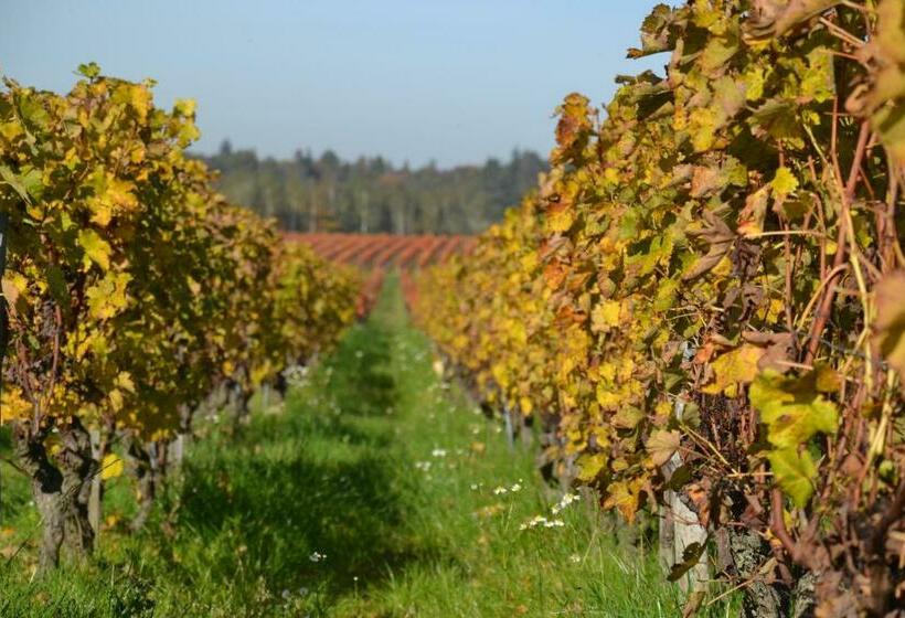 مبيت وإفطار Le Clos Saintemarie