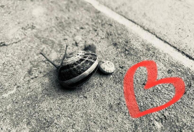 تختخواب و صبحانه Locanda Di Santantimo