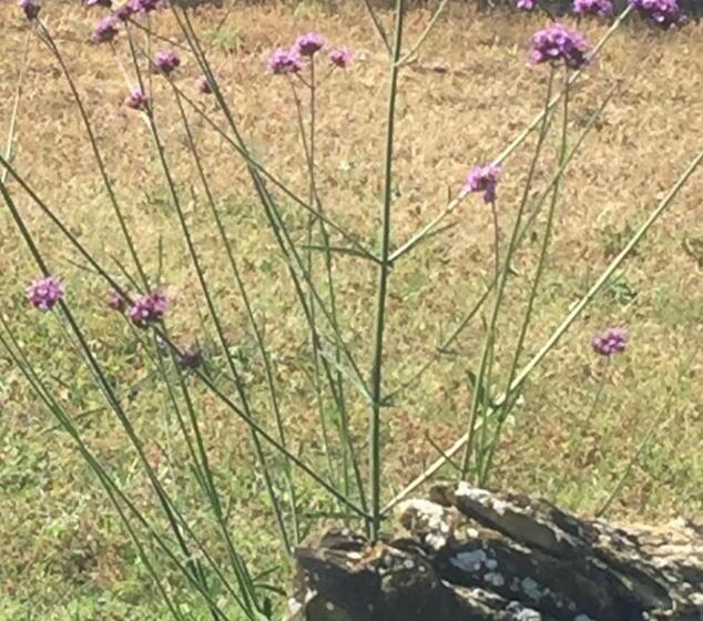 تختخواب و صبحانه Locanda Di Santantimo