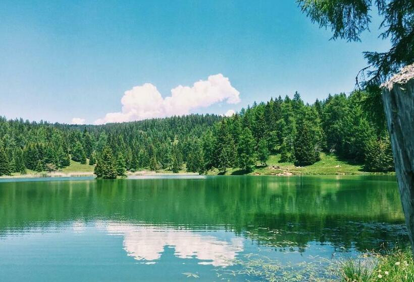 Berggasthof Pension Pfitscher