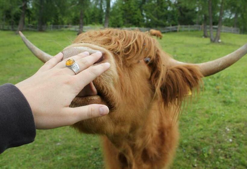 Berggasthof Pension Pfitscher