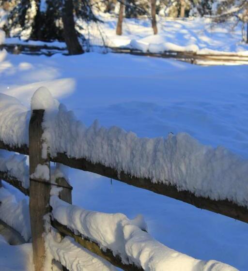 Berggasthof Pension Pfitscher