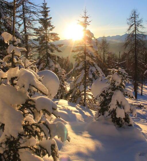 Berggasthof Pension Pfitscher