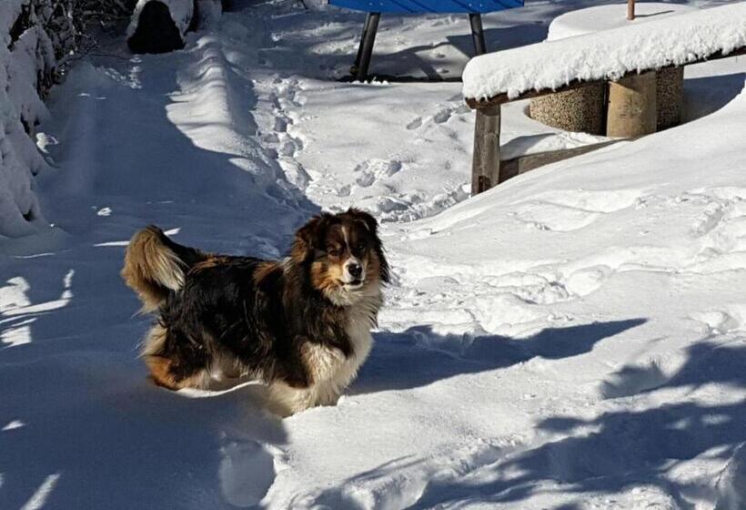 Berggasthof Pension Pfitscher